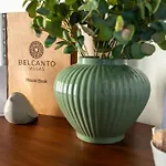 In Focus, By Belcanto *